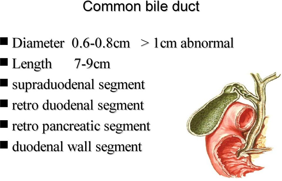 supraduodenal segment retro duodenal