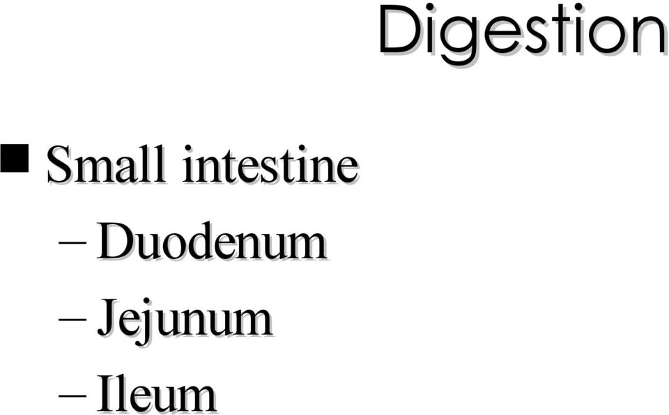 intestine