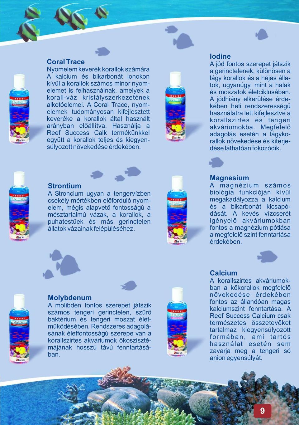 Használja a Reef Success Calk termékünkkel együtt a korallok teljes és kiegyensúlyozott növekedése érdekében.