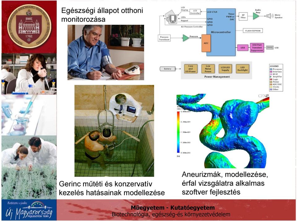 hatásainak modellezése Aneurizmák,