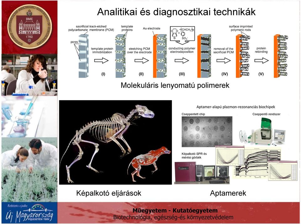 plazmon-rezonanciás biochipek Cseppentett chip