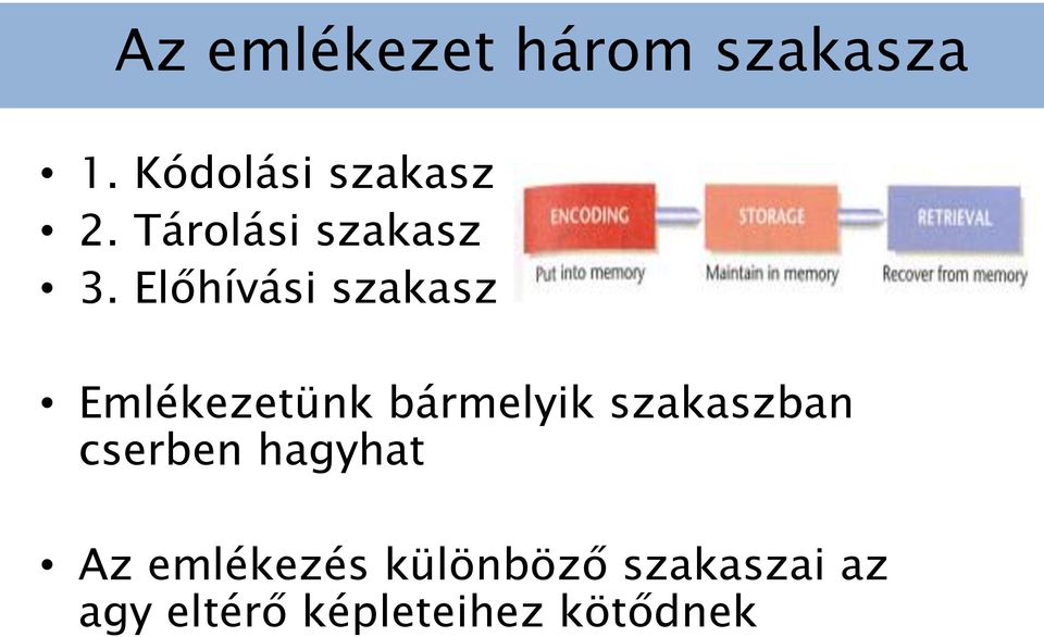 Előhívási szakasz Emlékezetünk bármelyik szakaszban