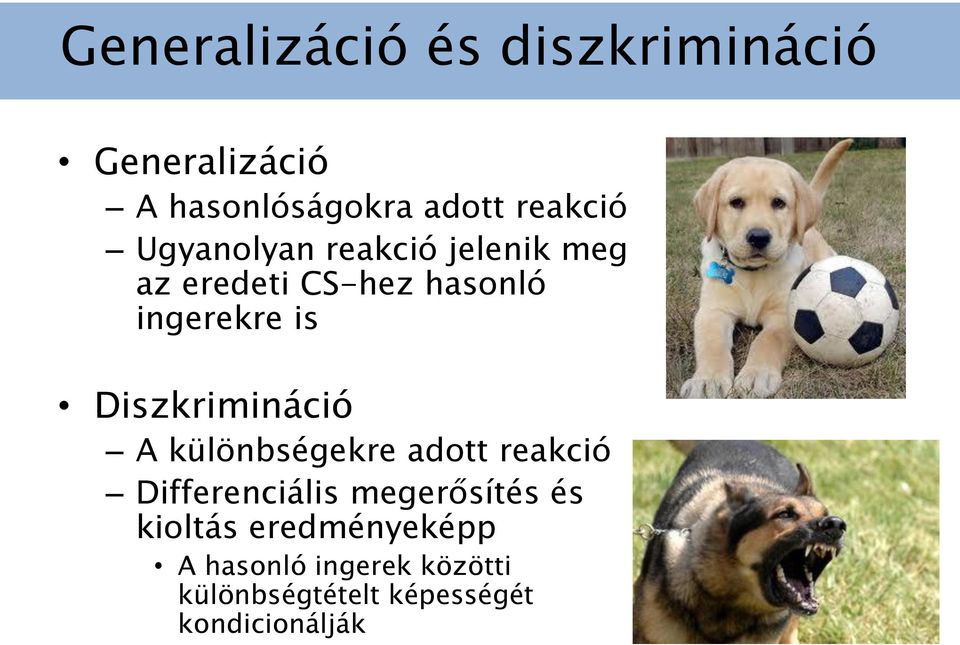 Diszkrimináció A különbségekre adott reakció Differenciális megerősítés és