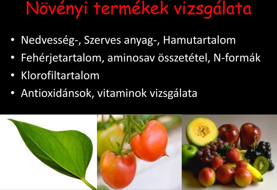 Fehérjetartalom, aminosav összetétel,
