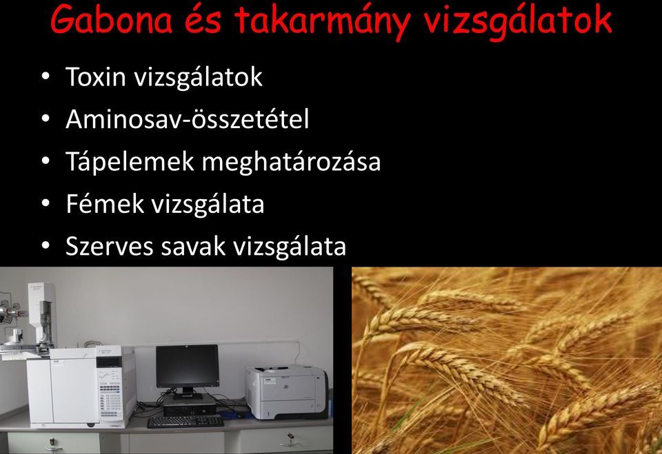 Aminosav-összetétel Tápelemek