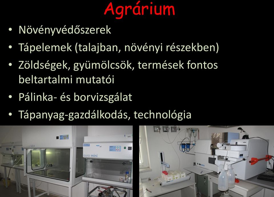 gyümölcsök, termések fontos beltartalmi