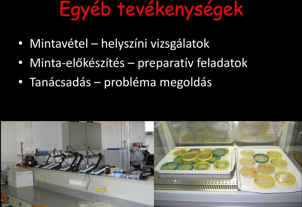 vizsgálatok Minta-előkészítés