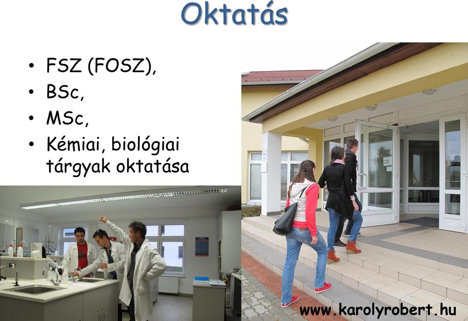 biológiai tárgyak