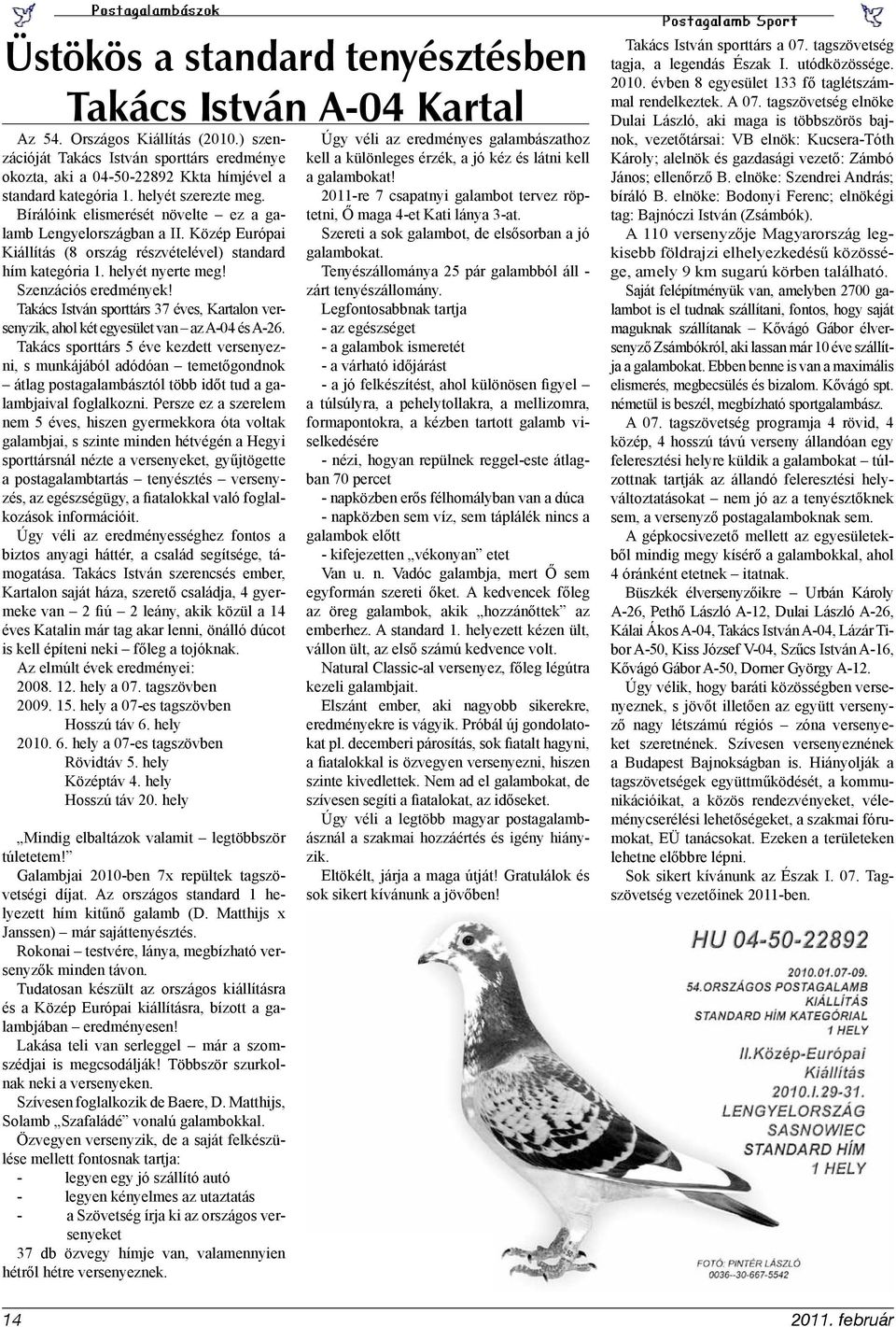 Közép Európai Kiállítás (8 ország részvételével) standard hím kategória 1. helyét nyerte meg! Szenzációs eredmények!