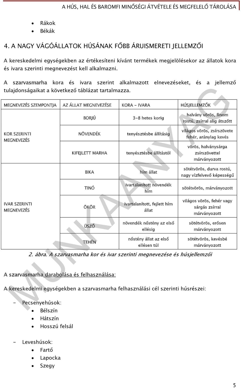 A szarvasmarha kora és ivara szerint alkalmazott elnevezéseket, és a jellemző tulajdonságaikat a következő táblázat tartalmazza.