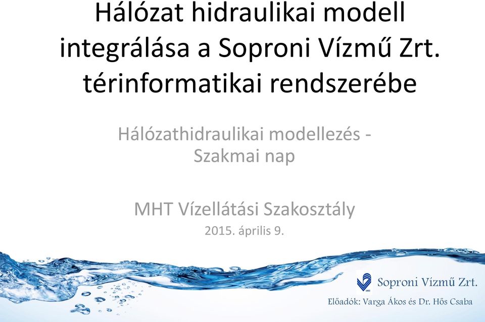 Hálózathidraulikai modellezés - Szakmai