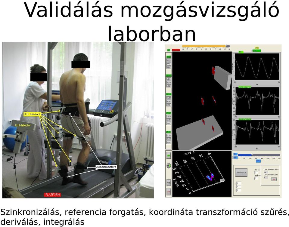 referencia forgatás, koordináta