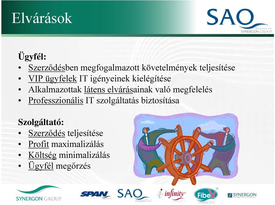 való megfelelés Professzionális IT szolgáltatás biztosítása Szolgáltató: