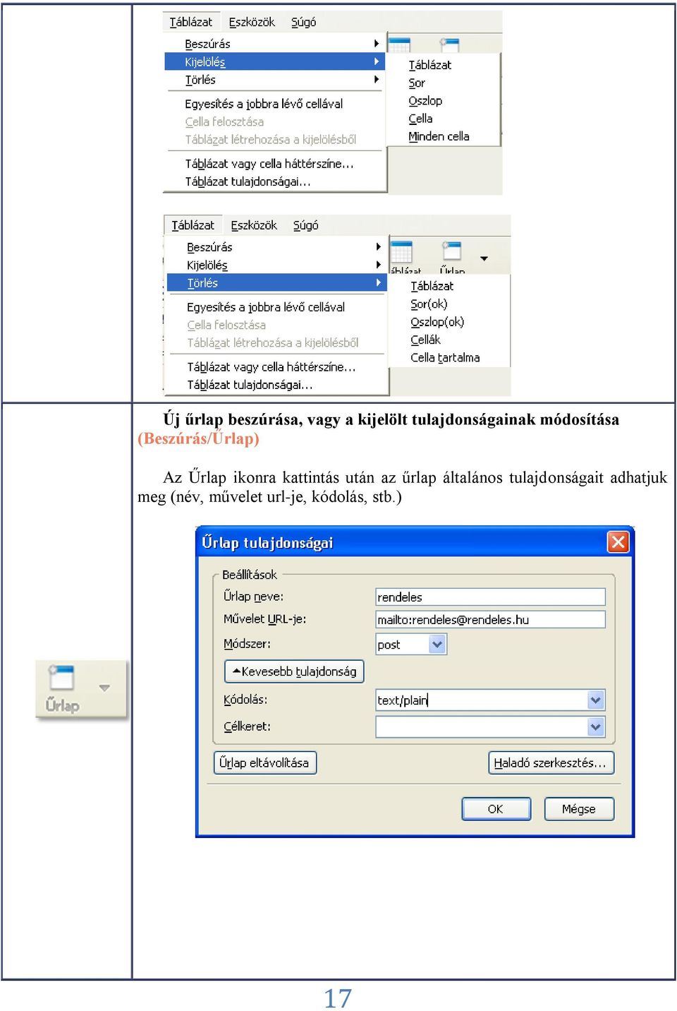 Űrlap ikonra kattintás után az űrlap általános