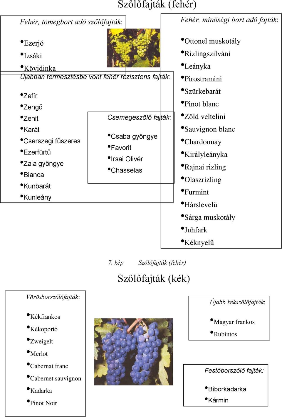 Szürkebarát Pinot blanc Zöld veltelini Sauvignon blanc Chardonnay Királyleányka Rajnai rizling Olaszrizling Furmint Hárslevelű Sárga muskotály Juhfark Kéknyelű 7.