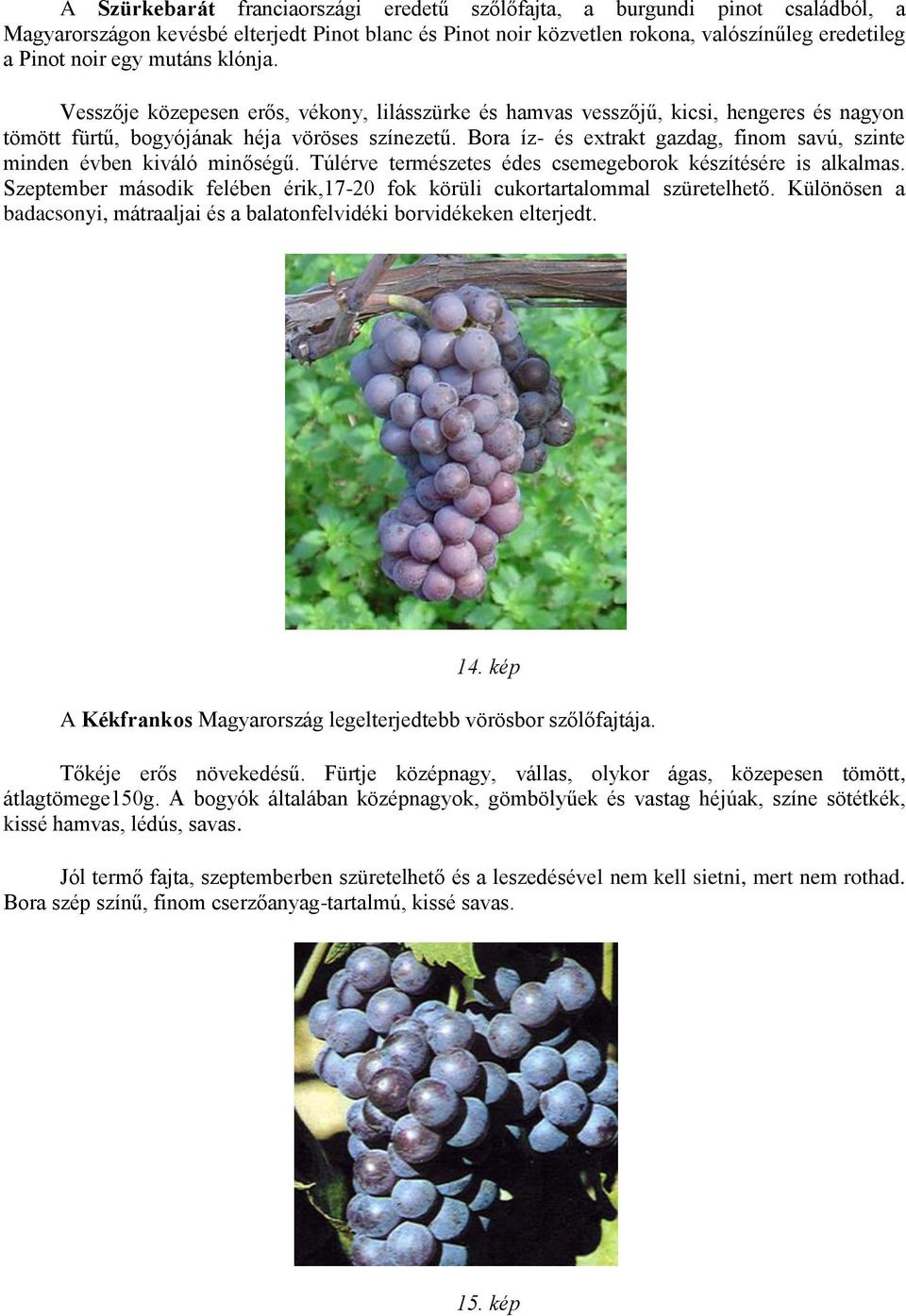 Bora íz- és extrakt gazdag, finom savú, szinte minden évben kiváló minőségű. Túlérve természetes édes csemegeborok készítésére is alkalmas.