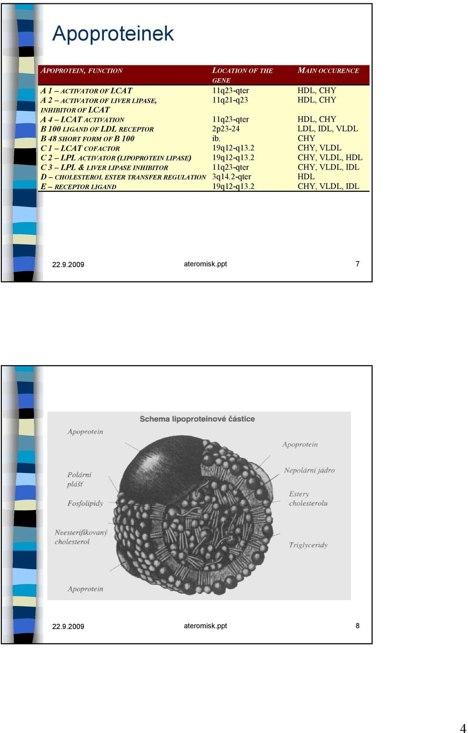 CHY C 1 LCAT COFACTOR 19q12-q13.2 CHY, VLDL C 2 LPL ACTIVATOR (LIPOPROTEIN LIPASE) 19q12-q13.