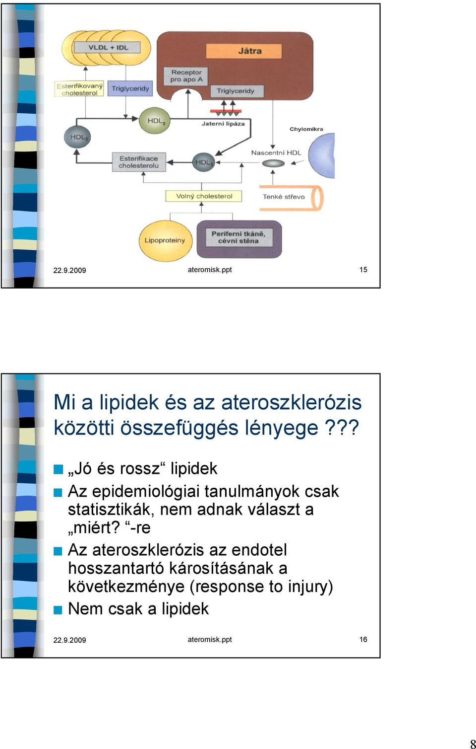 ?? Jó és rossz lipidek Az epidemiológiai tanulmányok csak statisztikák, nem adnak