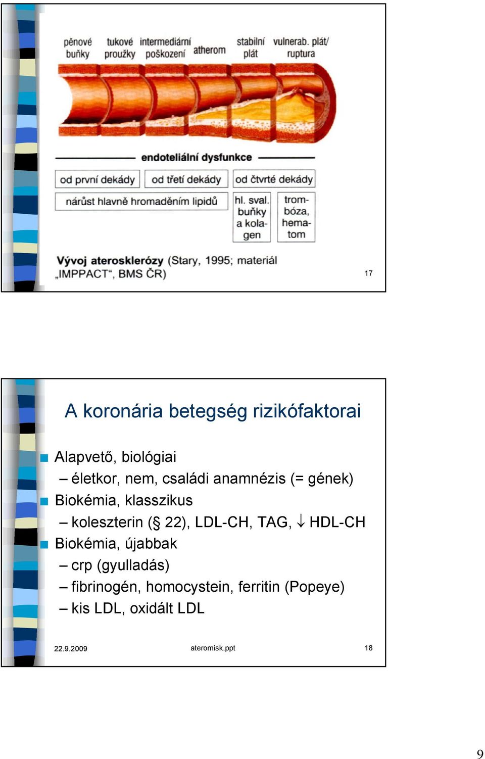 családi anamnézis (= gének) Biokémia, klasszikus koleszterin ( 22), LDL-CH,