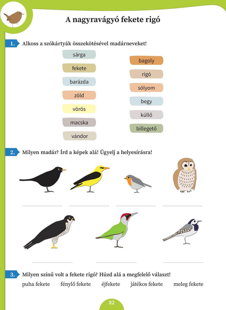 Milyen madár? Írd a képek alá! Ügyelj a helyesírásra! 3.