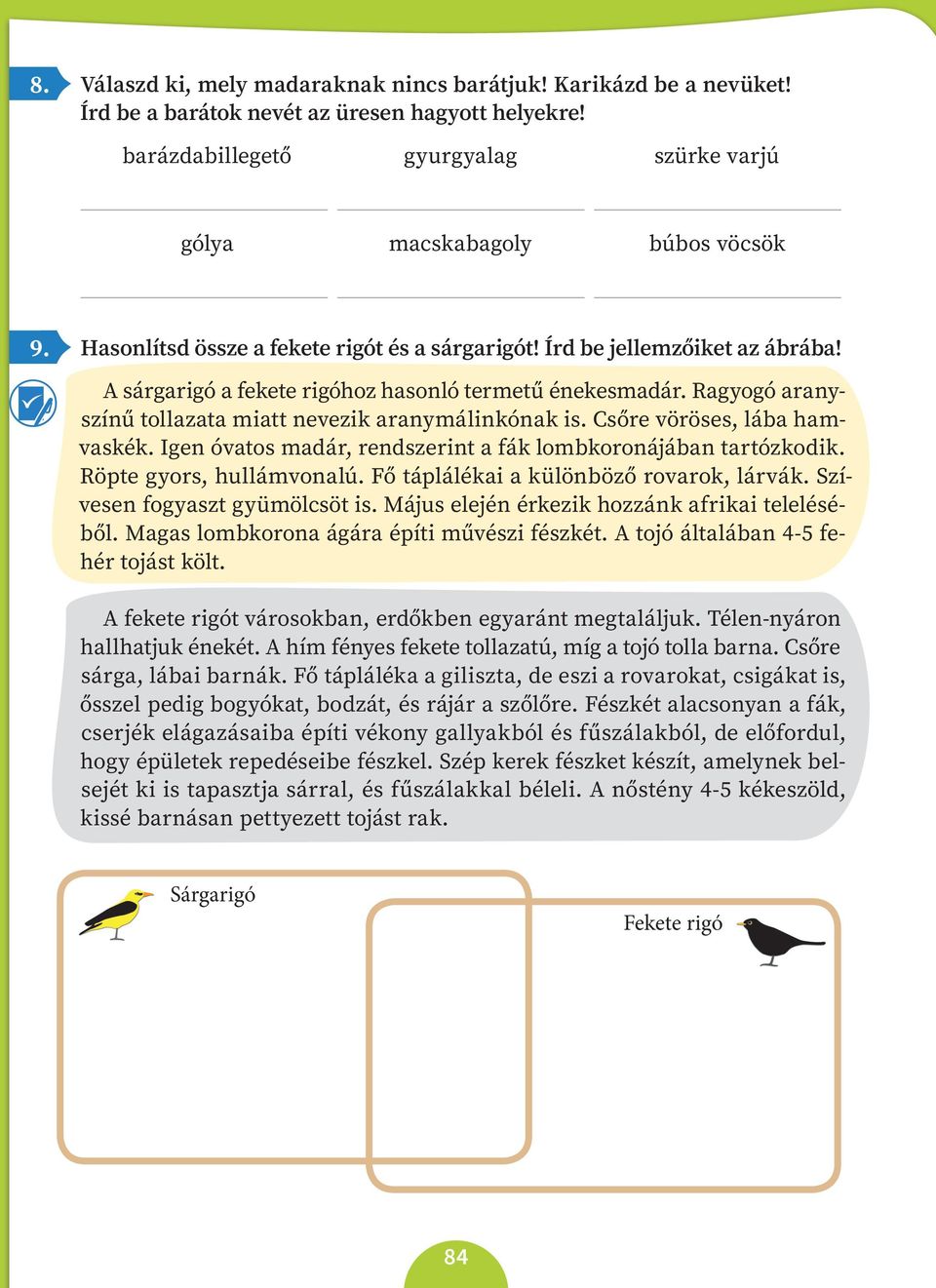 Csőre vöröses, lába hamvaskék. Igen óvatos madár, rendszerint a fák lombkoronájában tartózkodik. Röpte gyors, hullámvonalú. Fő táplálékai a különböző rovarok, lárvák. Szívesen fogyaszt gyümölcsöt is.