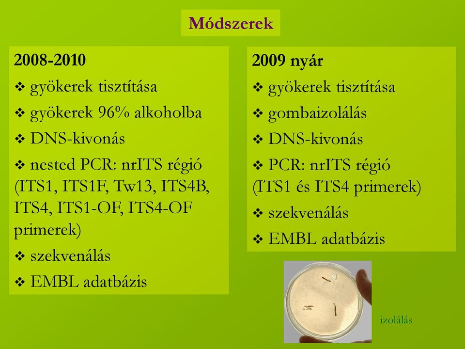 primerek) szekvenálás EMBL adatbázis 2009 nyár gyökerek tisztítása