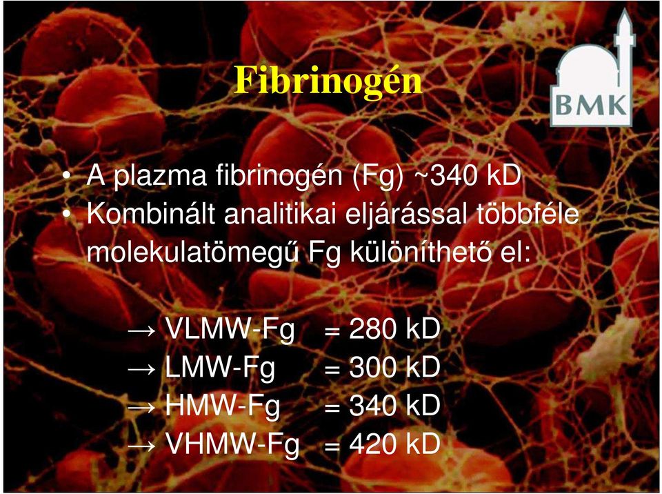 molekulatömegő Fg különíthetı el: VLMW-Fg