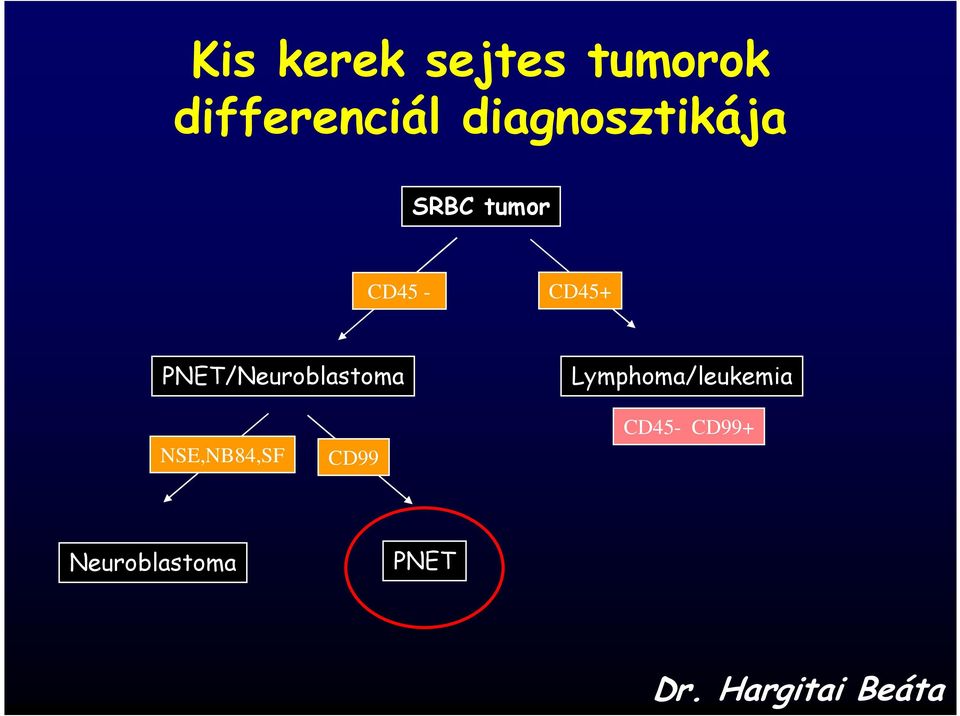 PNET/Neuroblastoma Lymphoma/leukemia