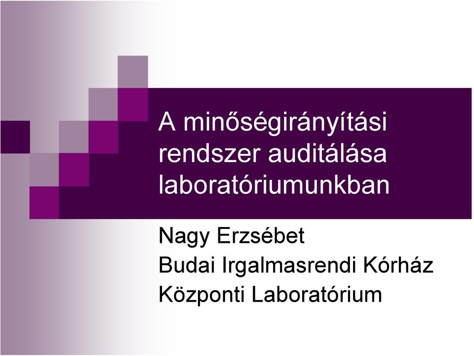 Nagy Erzsébet Budai