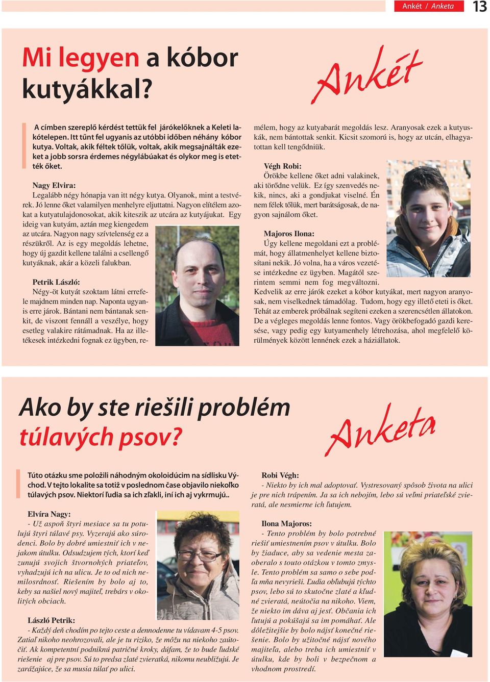 Olyanok, mint a testvérek. Jó lenne őket valamilyen menhelyre eljuttatni. Nagyon elítélem azokat a kutyatulajdonosokat, akik kiteszik az utcára az kutyájukat.