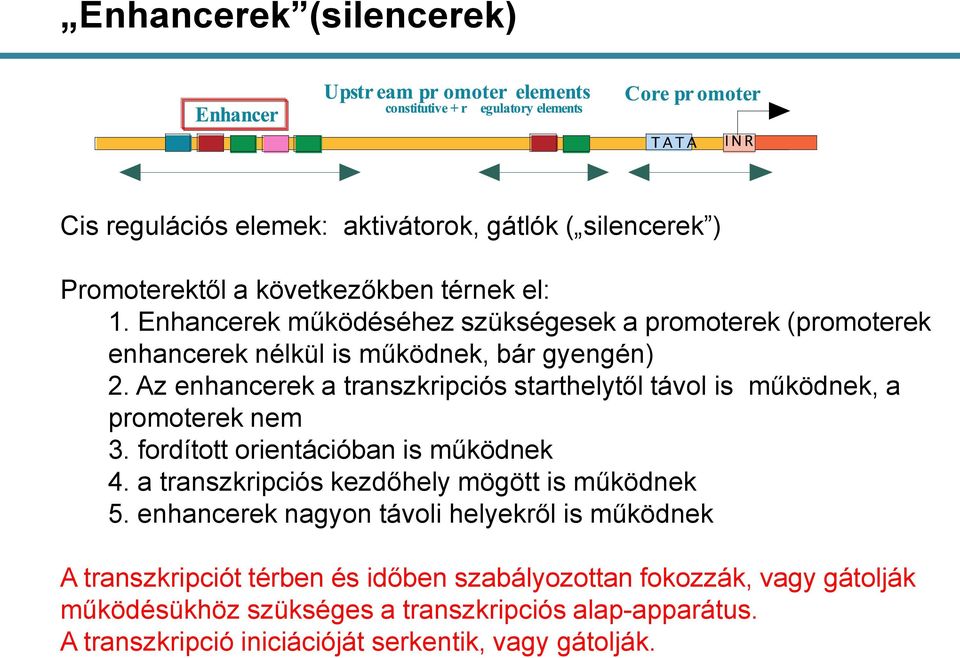 Az enhancerek a transzkripciós starthelytől távol is működnek, a promoterek nem 3. fordított orientációban is működnek 4.