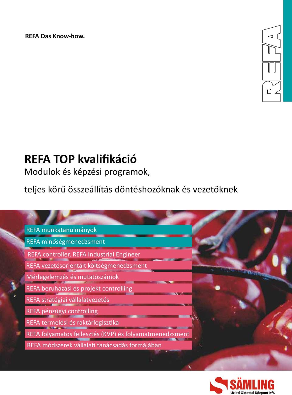 REFA minőségmenedzsment REFA controller, REFA Industrial Engineer REFA vezetésorientált költségmenedzsment Mérlegelemzés és