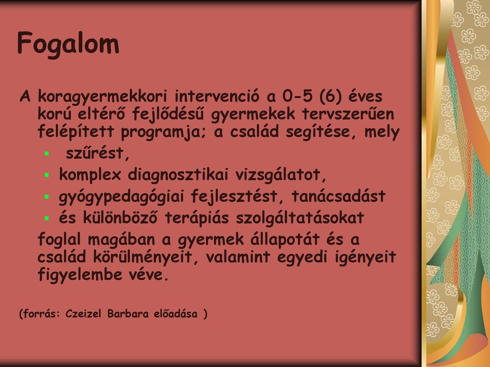 gyógypedagógiai fejlesztést, tanácsadást és különböző terápiás szolgáltatásokat foglal magában a