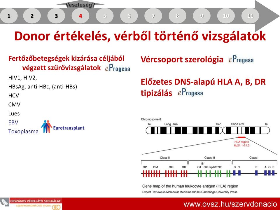 szűrővizsgálatok HIV1, HIV2, HBsAg, anti-hbc, (anti-hbs) HCV CMV