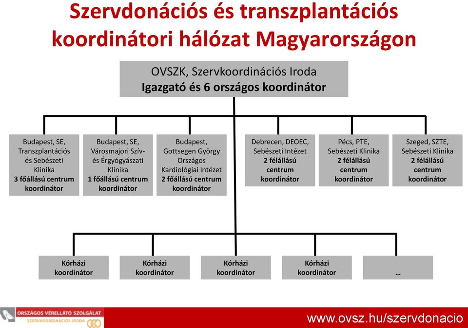 Gottsegen György Országos Kardiológiai Intézet 2 főállású centrum koordinátor Debrecen, DEOEC, Sebészeti Intézet 2 félállású centrum koordinátor Pécs, PTE, Sebészeti