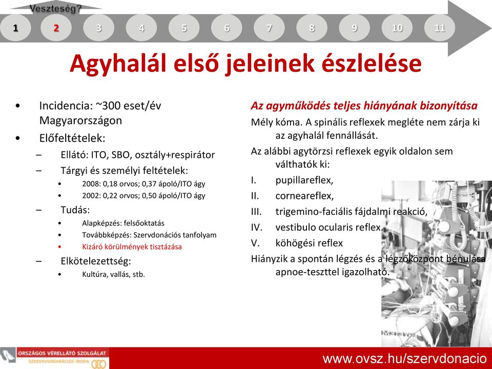 vallás, stb. Az agyműködés teljes hiányának bizonyítása Mély kóma. A spinális reflexek megléte nem zárja ki az agyhalál fennállását. Az alábbi agytörzsi reflexek egyik oldalon sem válthatók ki: I.