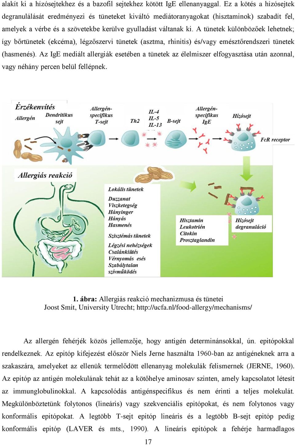A tünetek különbözőek lehetnek; így bőrtünetek (ekcéma), légzőszervi tünetek (asztma, rhinitis) és/vagy emésztőrendszeri tünetek (hasmenés).