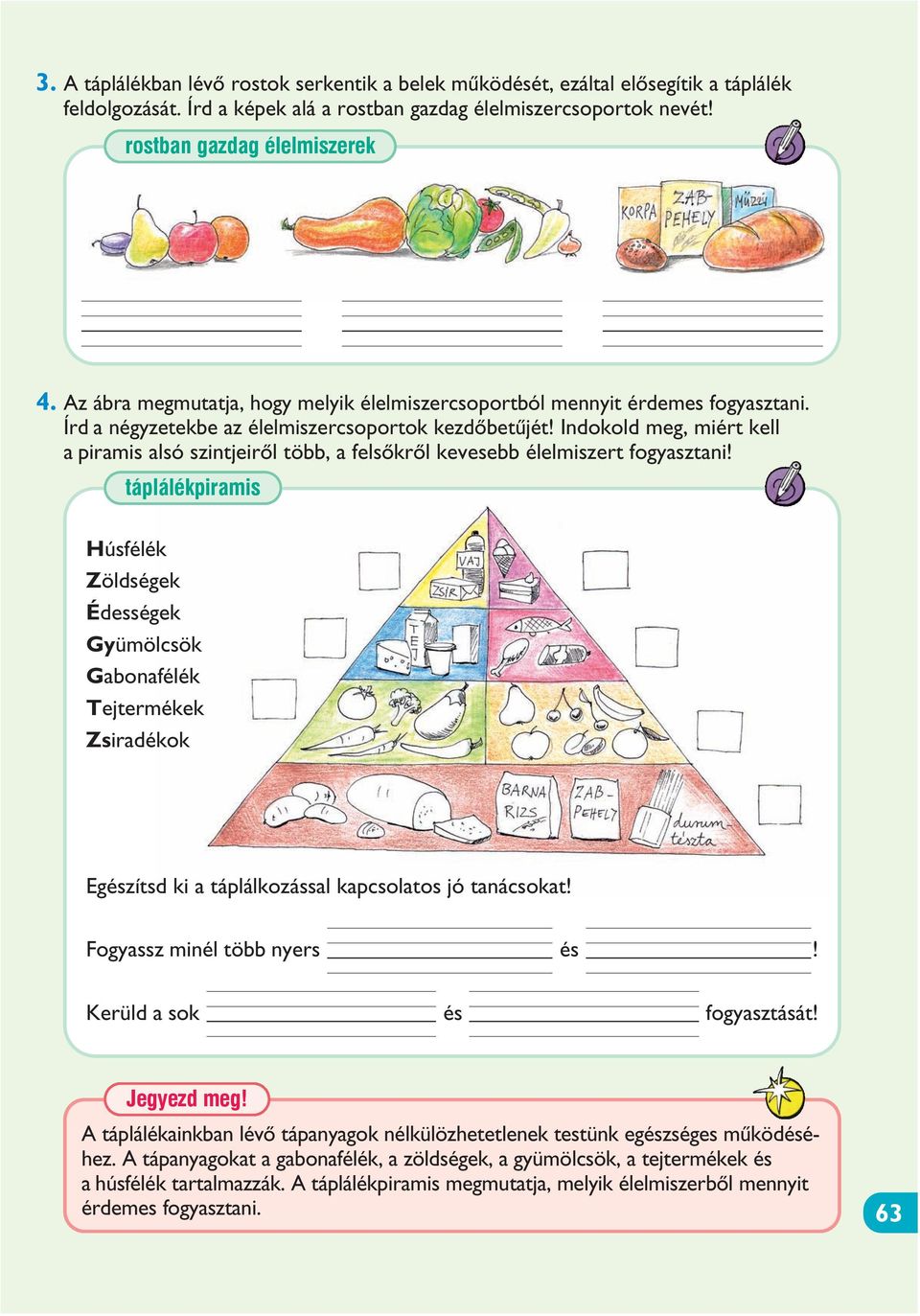 Indokold meg, miért kell a piramis alsó szintjeirõl több, a felsõkrõl kevesebb élelmiszert fogyasztani!