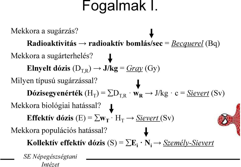 Elnyelt dózis (D T,R ) J/kg = Gray (Gy) Milyen típusú sugárzással?