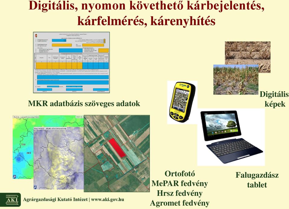szöveges adatok Digitális képek Ortofotó