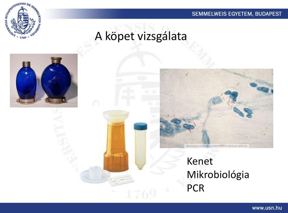 Kenet