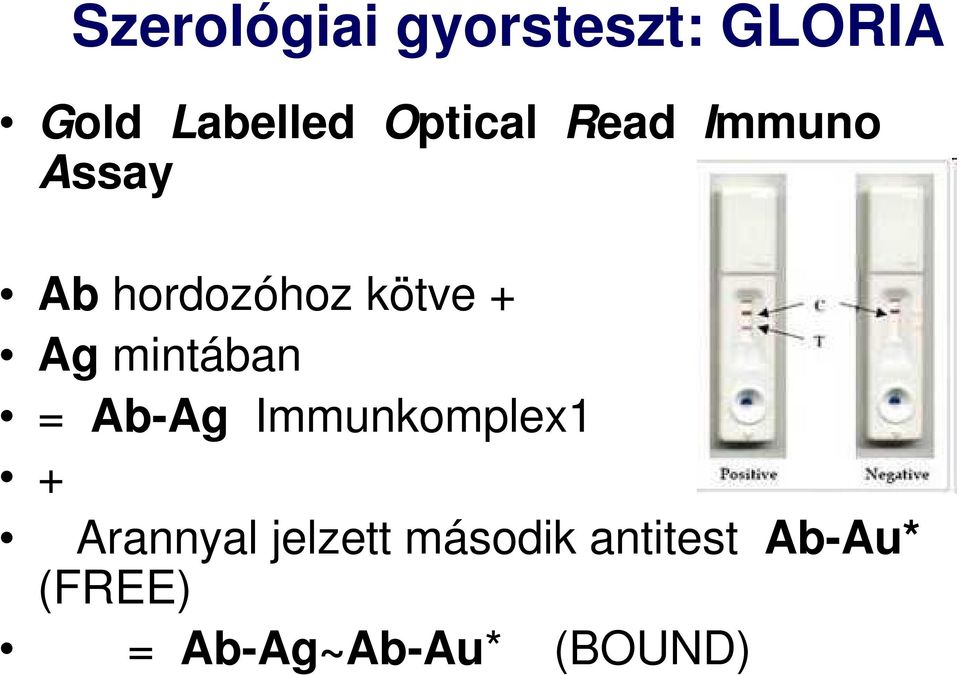 kötve + Ag mintában = Ab-Ag Immunkomplex1 + Arannyal