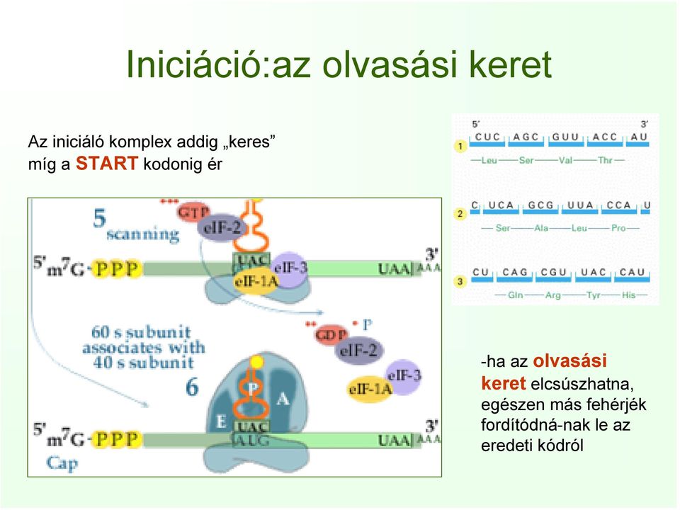 -ha az olvasási keret elcsúszhatna, egészen