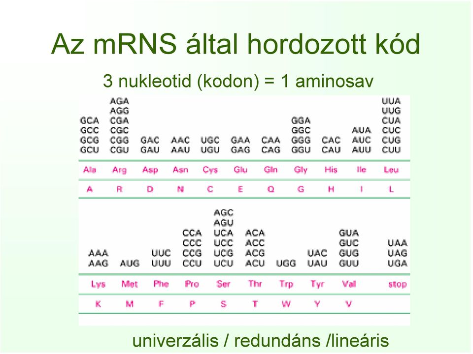 hordozott kód 3