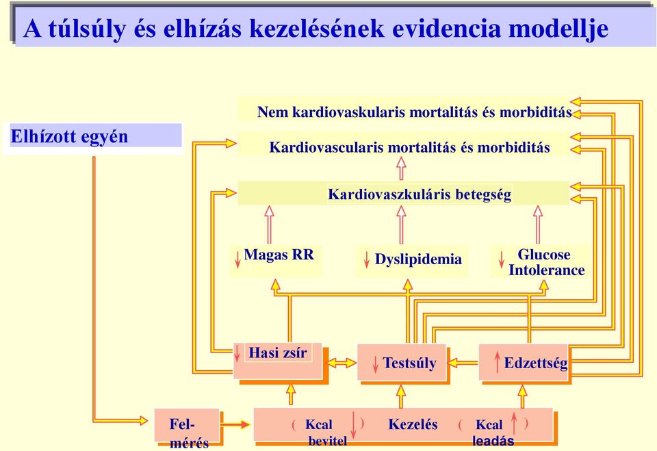 morbiditás Kardiovaszkuláris betegség Magas RR Dyslipidemia Glucose