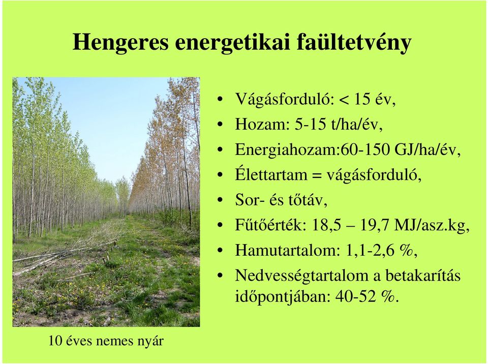 = vágásforduló, Sor- és tıtáv, Főtıérték: 18,5 19,7 MJ/asz.