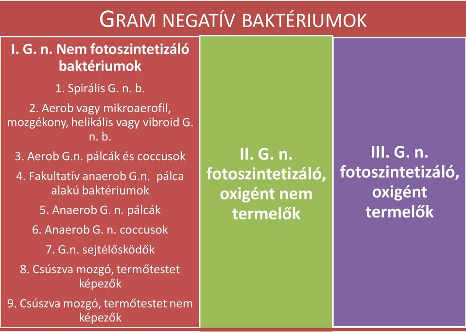 Fakultatív anaerob G.n. pálca alakú baktériumok 5. Anaerob G. n. pálcák 6. Anaerob G. n. coccusok 7. G.n. sejtélősködők 8.