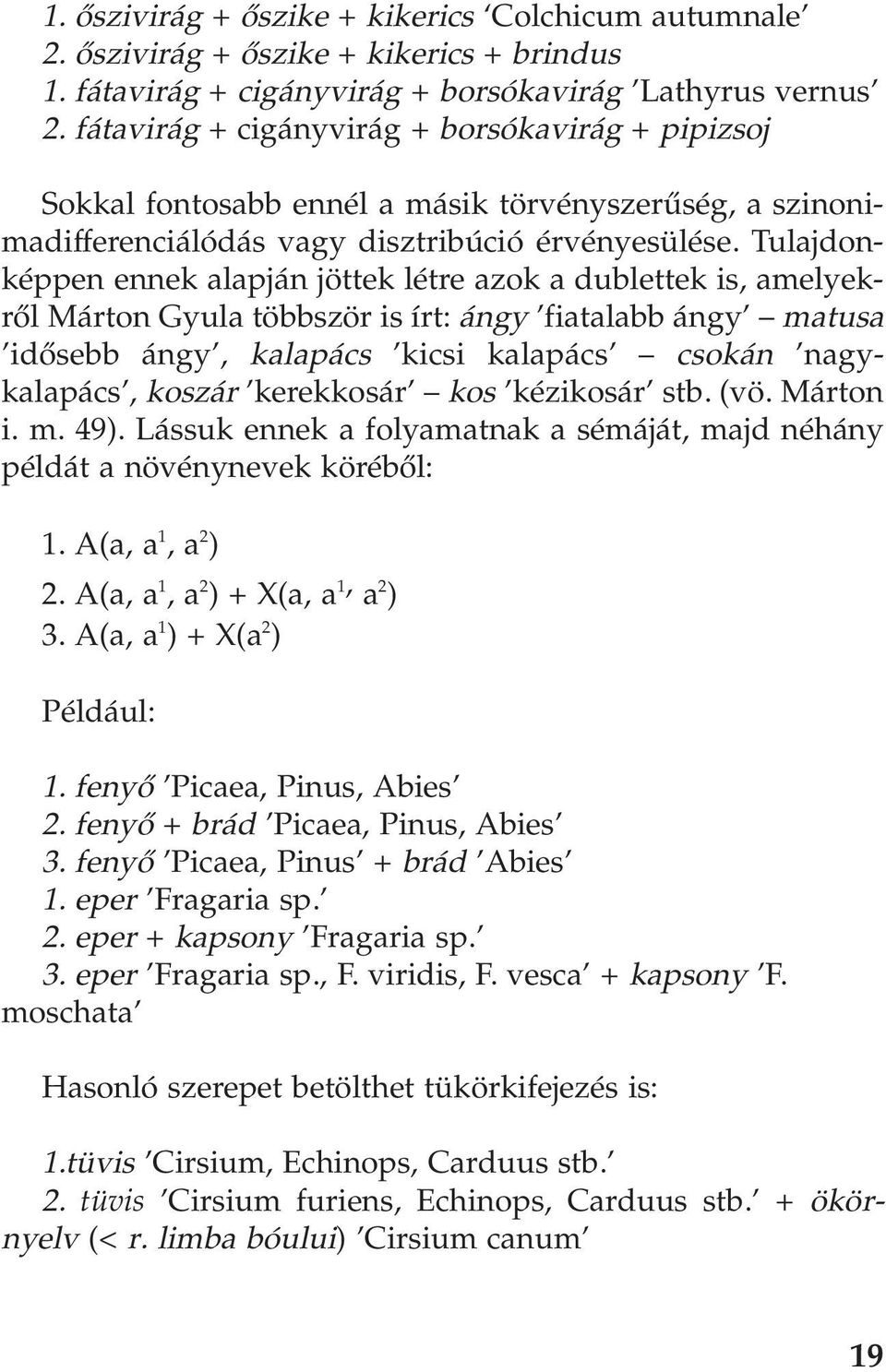 Tulajdonképpen ennek alapján jöttek létre azok a dublettek is, amelyekrõl Márton Gyula többször is írt: ángy fiatalabb ángy matusa idõsebb ángy, kalapács kicsi kalapács csokán nagykalapács, koszár