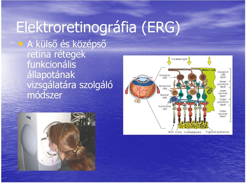 rétegek funkcionális