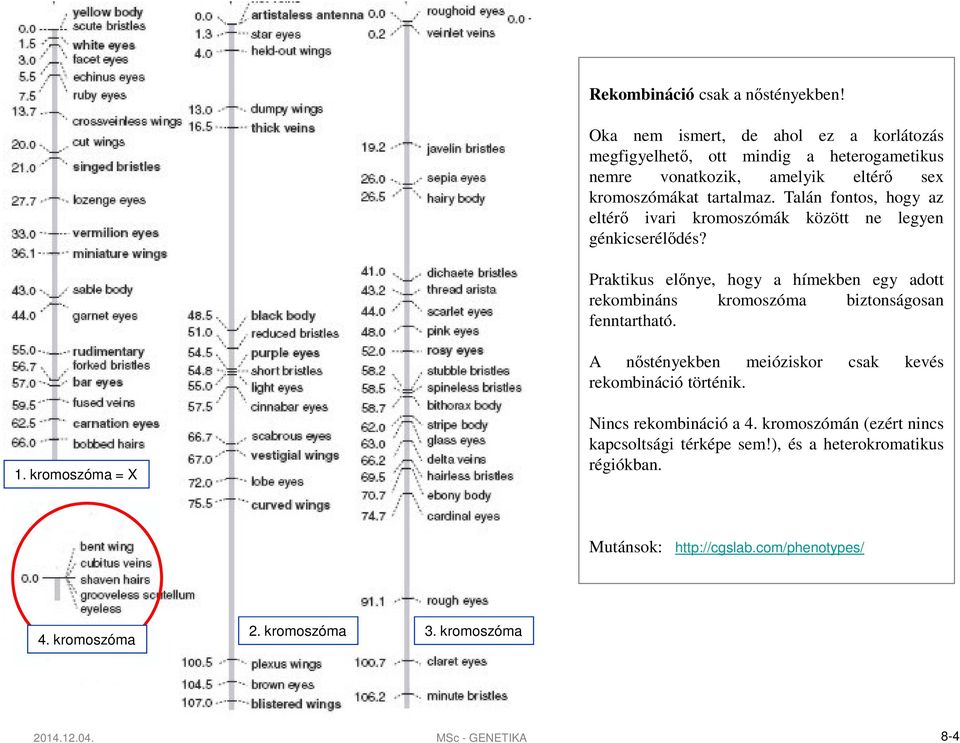 Talán fontos, hogy az eltérő ivari kromoszómák között ne legyen génkicserélődés?